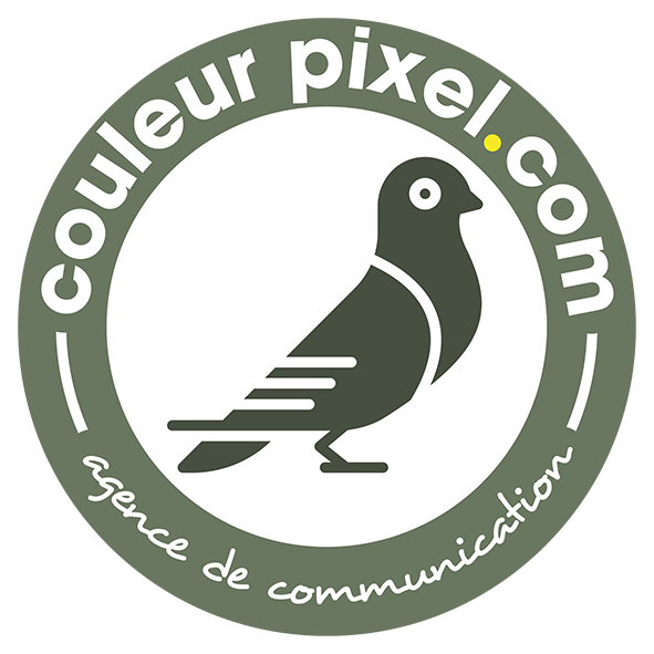 Logo Couleur pixel Graphiste agence de communication creation logo site internet enseigne publicitaire sur Marmande