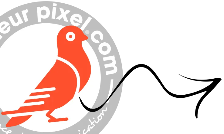 Logo Couleur pixel Graphiste agence de communication creation logo site internet enseigne publicitaire sur Marmande